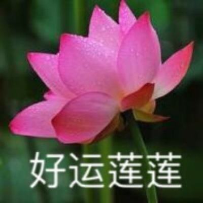 习近平：上海合作组织站在历史正确一边、站在公平正义一边，对世界至关重要